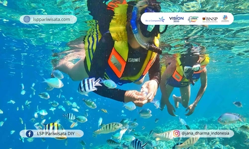 definition-of-local-marine-tourism