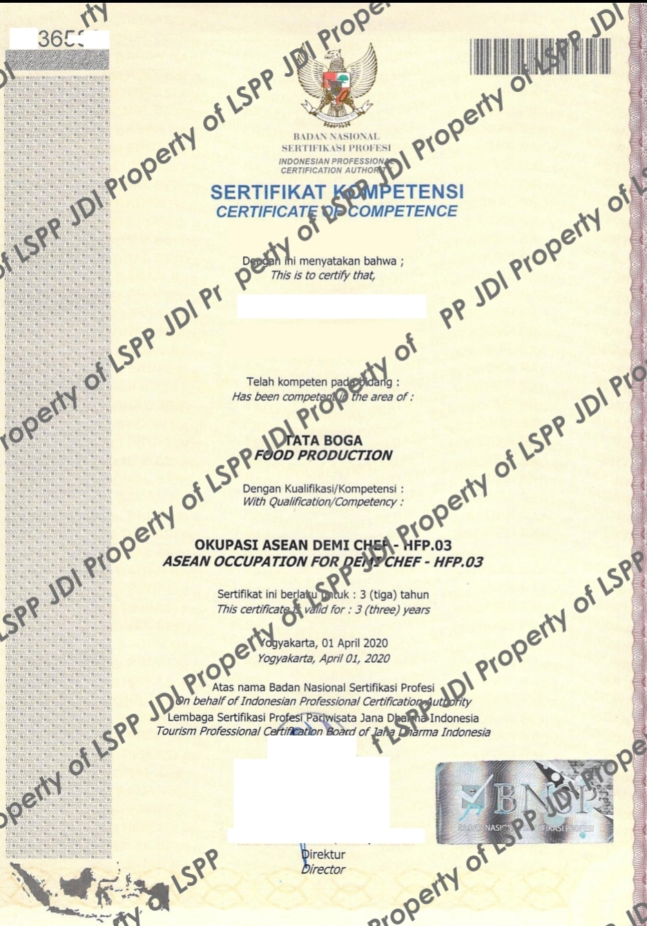 Contoh Sertifikat BNSP